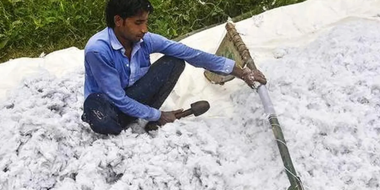 Cotton Prices Rise to ₹68,000 Amid Low Yields and Strong Demand