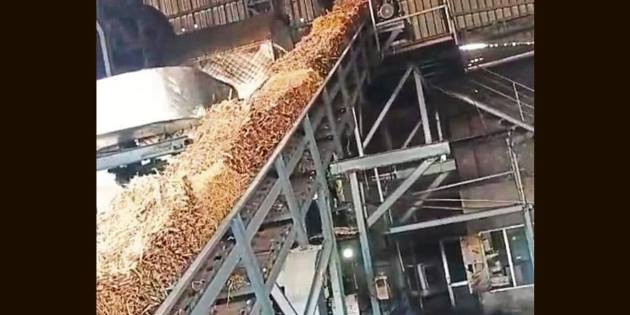 Ludhiana Dyeing Industry Shifts to Agro-Waste Energy Amid Fuel Crisis