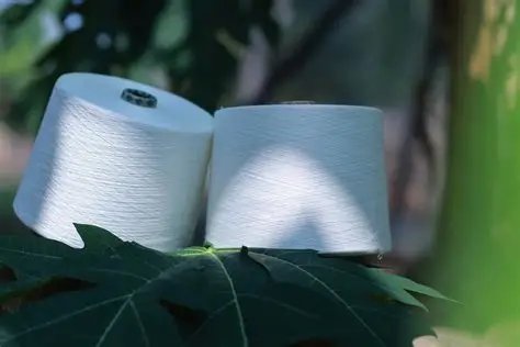 Cotton Yarn