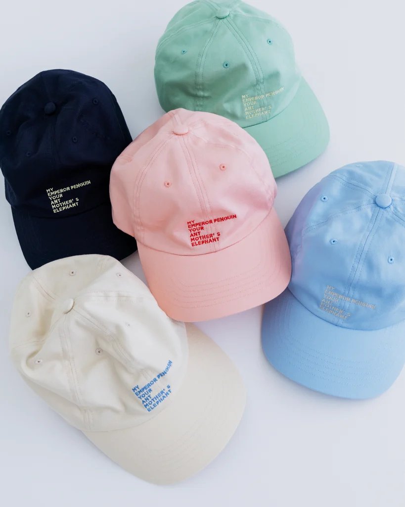 Embroidered Cotton Cap